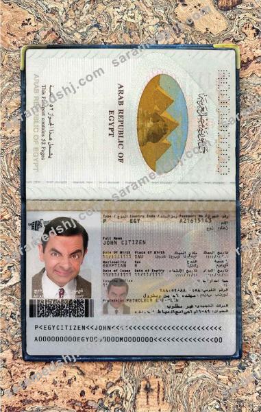 Egypt passport photo look
